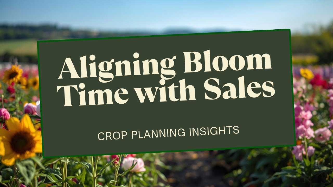 Crop Planning for a Flower Farm that Actually Works