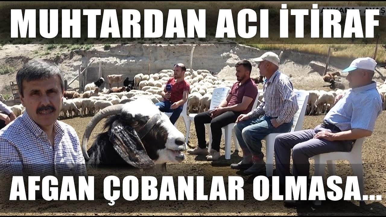 Muhtardan Acı İtiraf! 