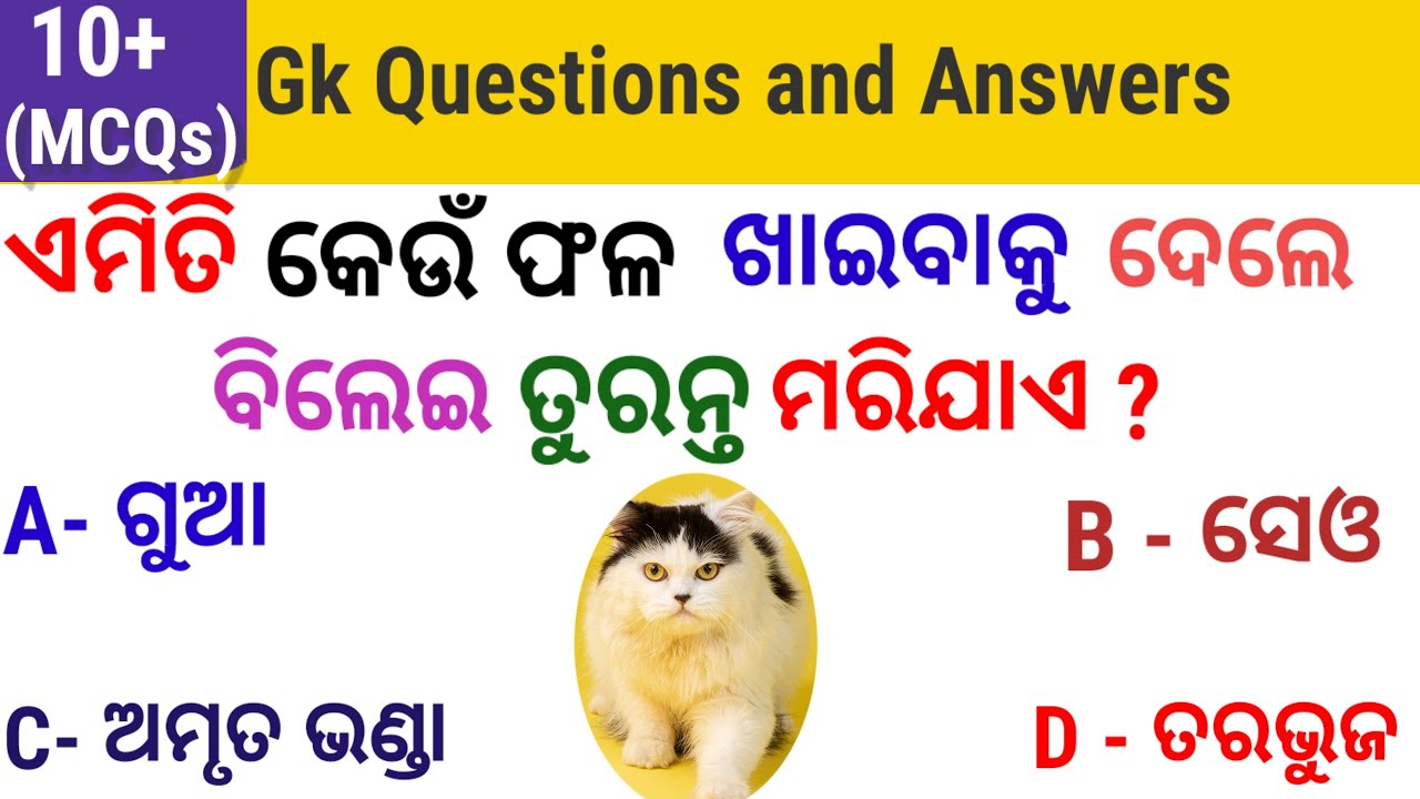 generalknowledge l Best Quiz l General Knowledge questions and answers l Gk 2024#eduction
