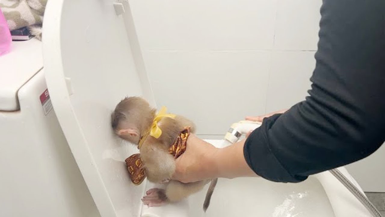 Jeez! Baby Jelly Got Something Out During Eating Fruit