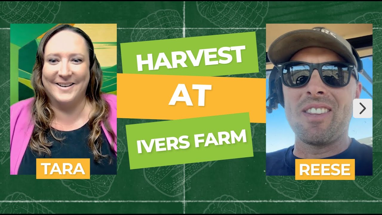 Harvest at Ivers Farms