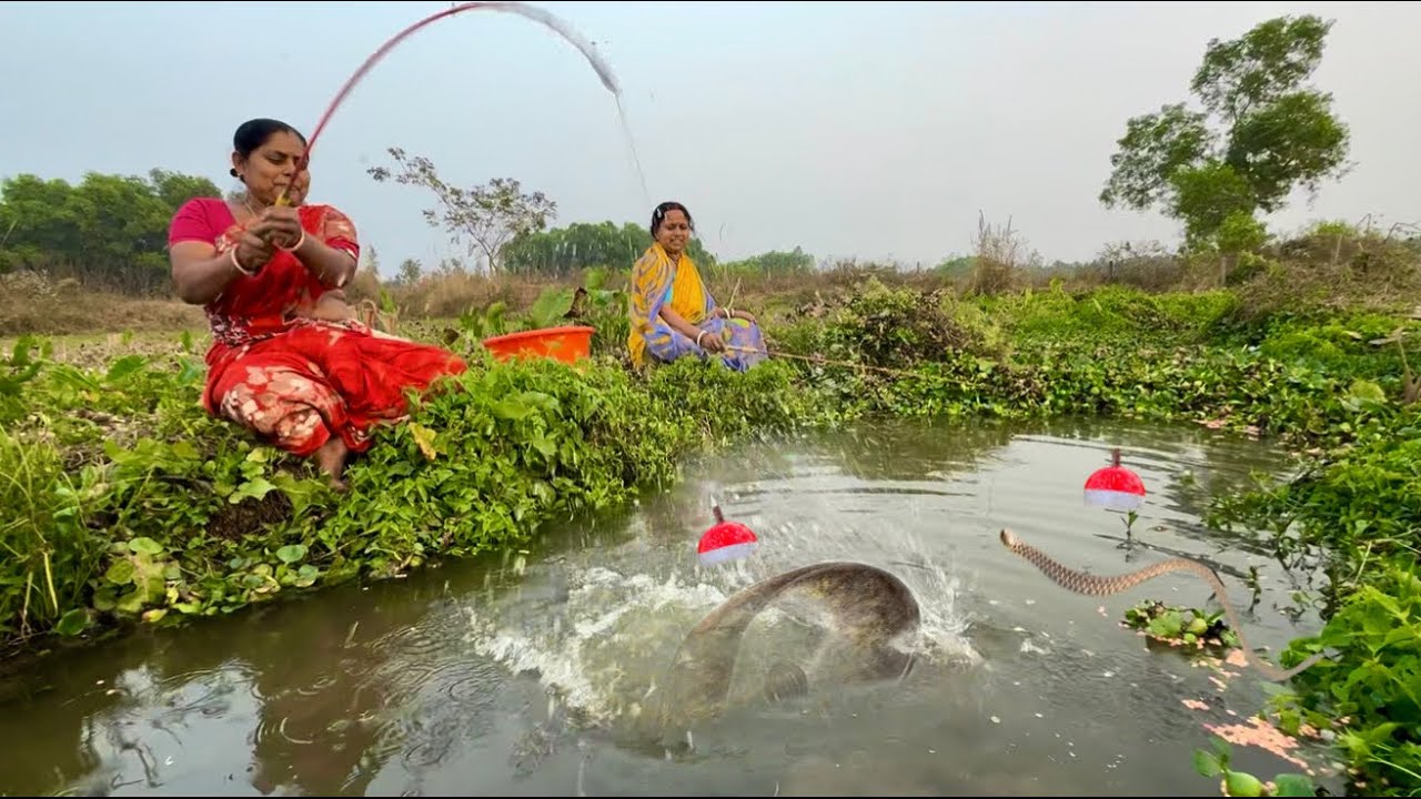 Fishing Video || Two village grandmother cleaned the canal and caught many fish || Best hook fishing