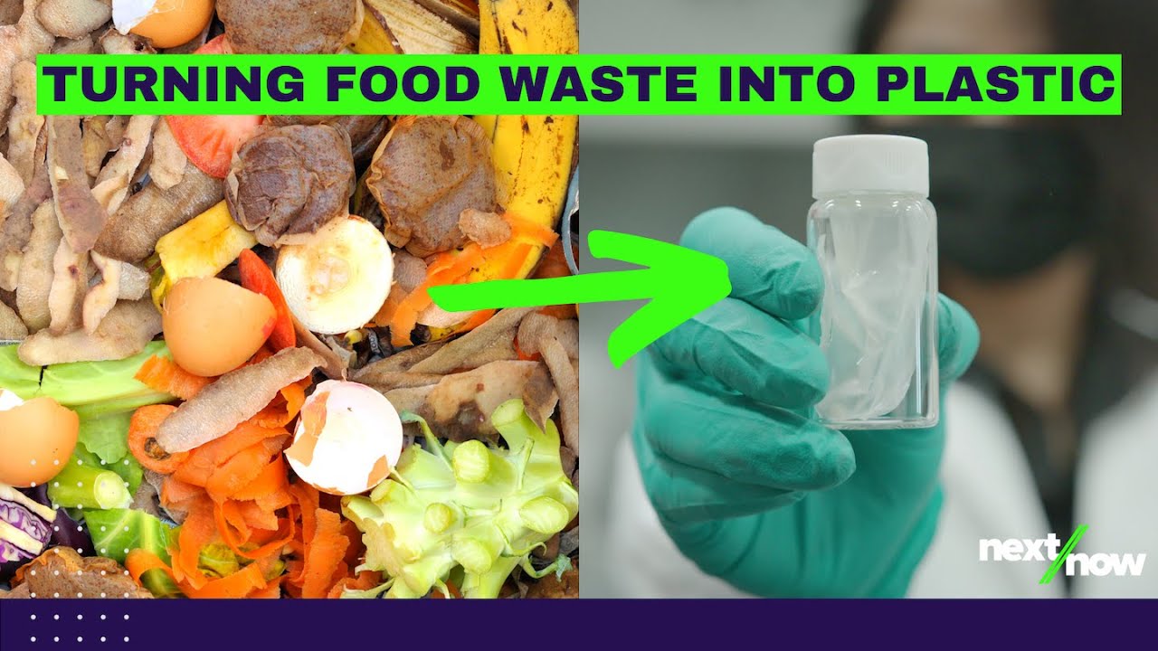 Turning Food Waste Into Plastic | Genecis
