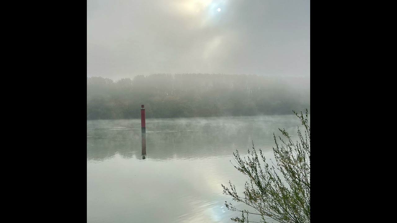 Épisode 18 : L’île du Beurre : une île paysage, témoin du Rhône sauvage.