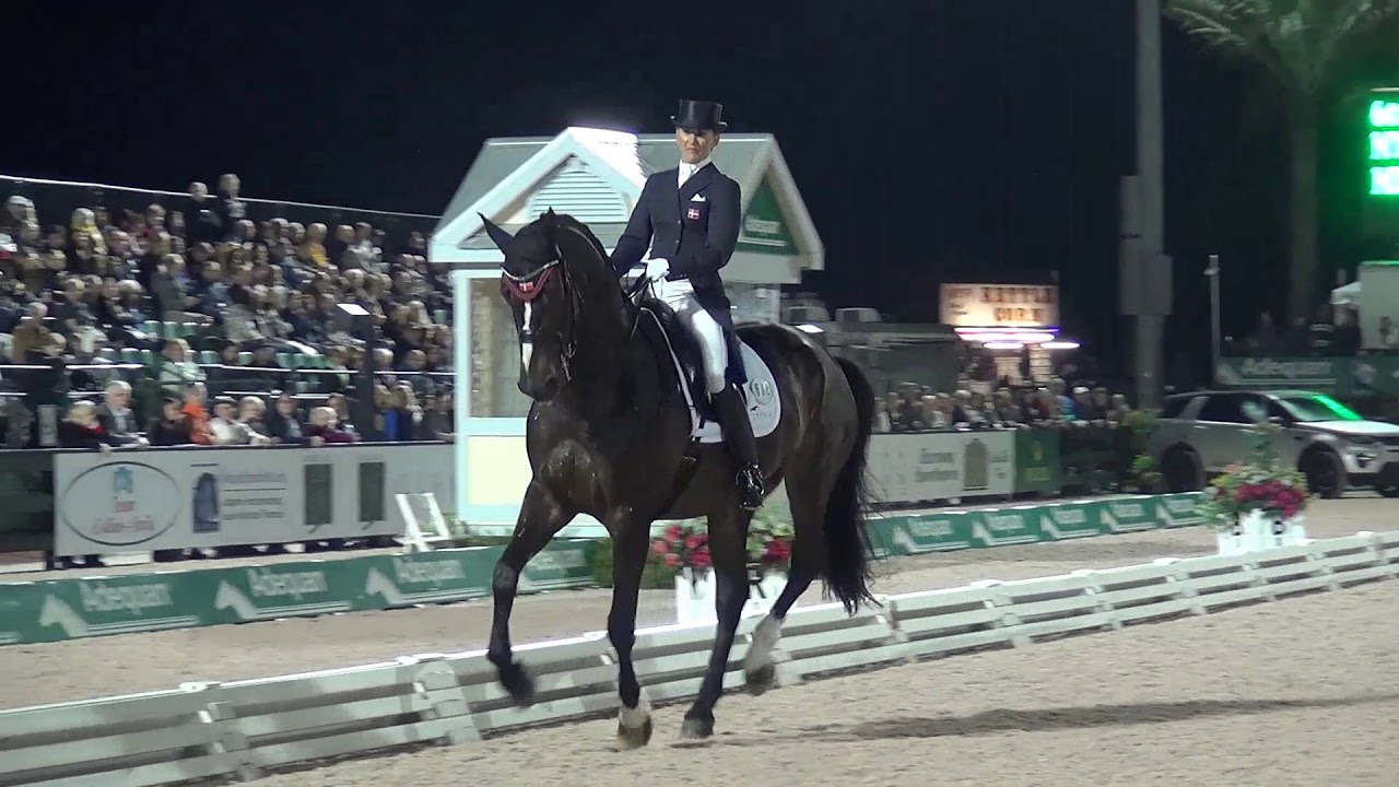 Mikala Münter Gundersen. My Lady 5* Freestyle