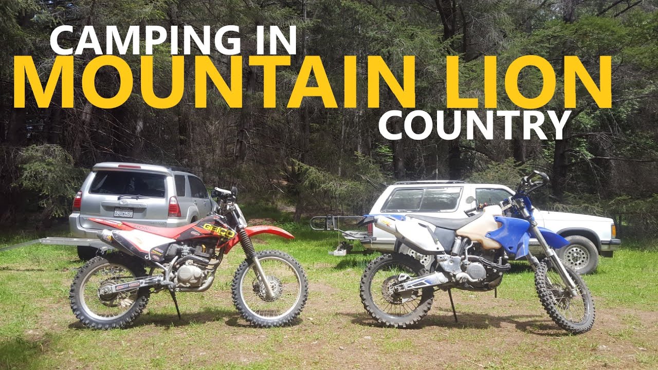 Camping In Mountain Lion Territory | Honda CRF230F Test Ride | Prepping Camp For An Extended Stay