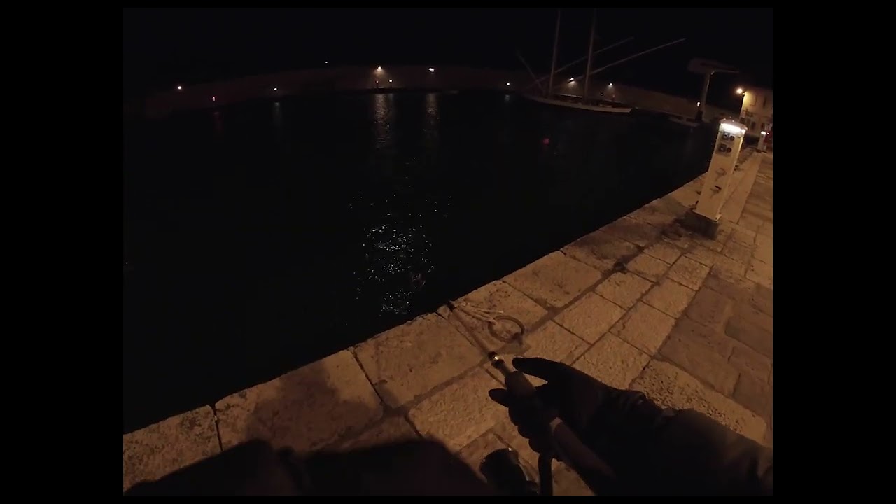 Barracuda a SPINNING-Mar Ionio