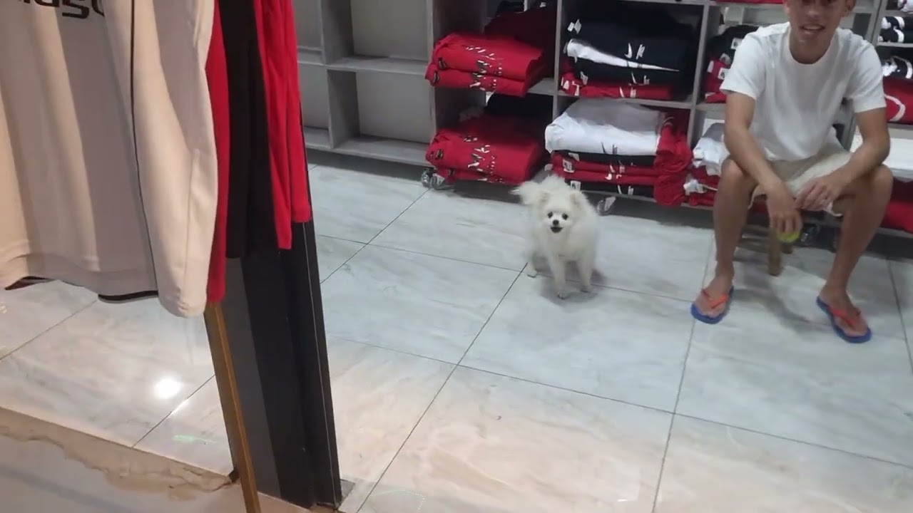 UM TUOR NA NOVA FEIRINHA DA MADRUGADA 