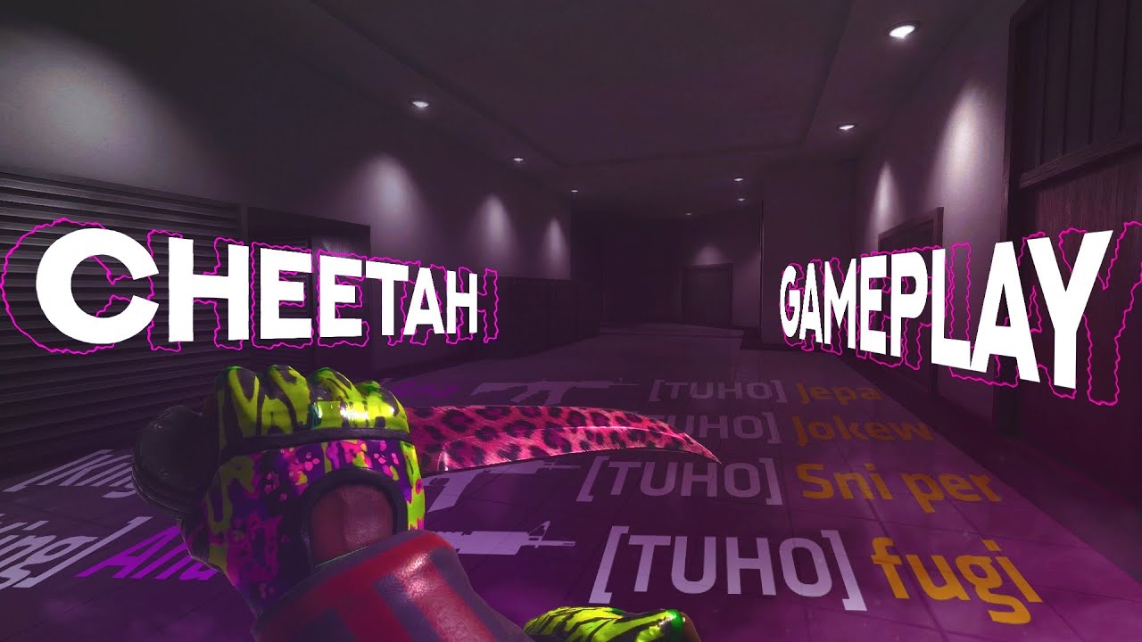🐆 COM RANK AND TOURNAMENT HIGHLIGHTS 