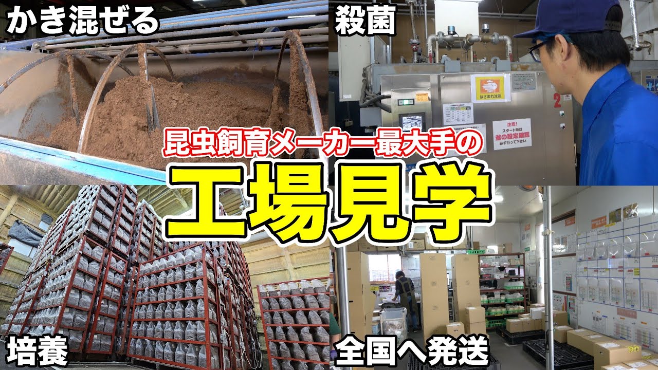 大手昆虫用品メーカーの施設がヤバすぎる