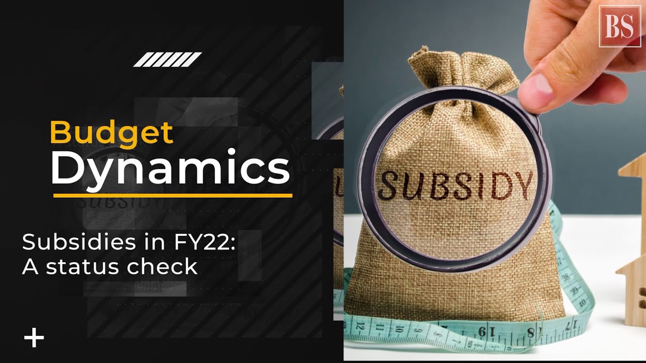Where does govt stand on subsidies in FY22?