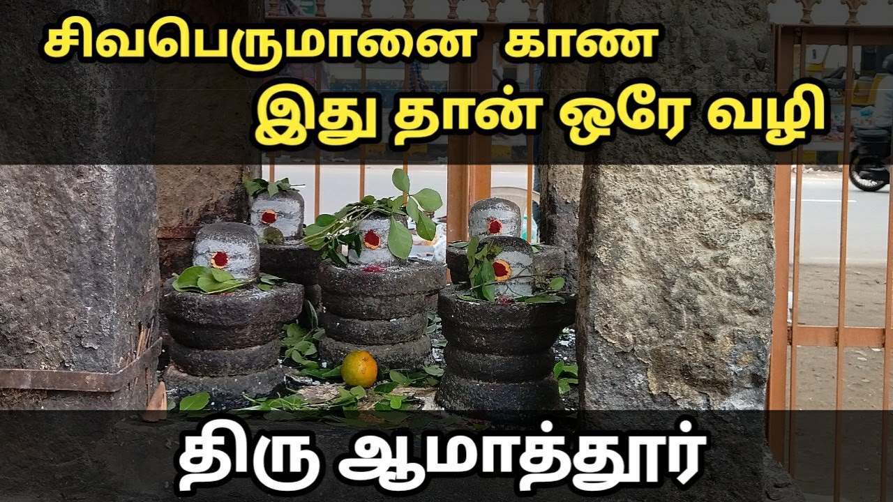 ஈசனை அடைய ஒரே ஒரு வழி தான் ஆமாத்தூர் பதிகம் #தேவாரம் #sivanwhatsappstatus #dhevaram #தேவாரவகுப்பு