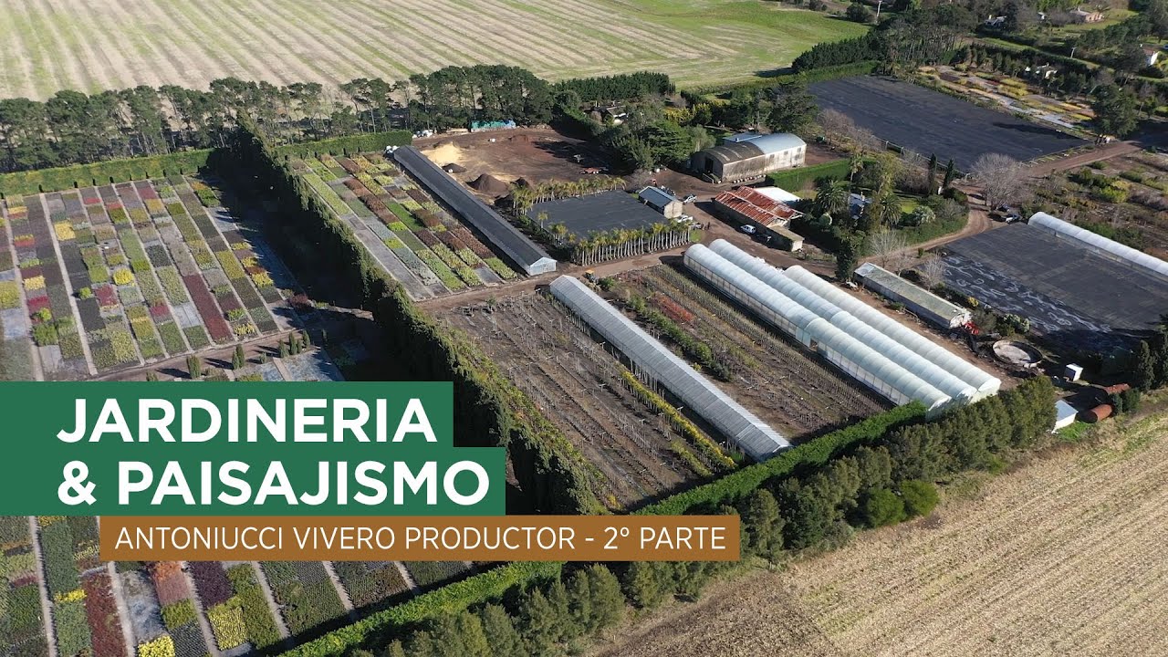 Vivero Antoniucci. Vivero productor. Tecnología aplicada en la producción de plantas y especies.