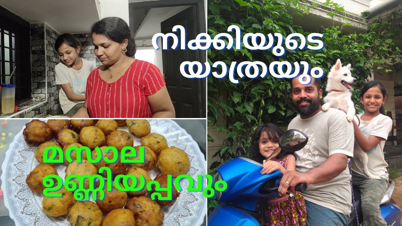ഷൂട്ടിങ്ങിനിടെ നിക്കി കയറ് പൊട്ടിച്ച് ഓടിപ്പോയി 😵 | മസാല ഉണ്ണിയപ്പം | Nikki Escaped !!!