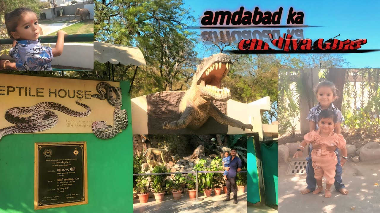 Today I went to visit the zoo with my family !! kishan Bhanjara !! #vlog #vlogger #viralvideo #viral