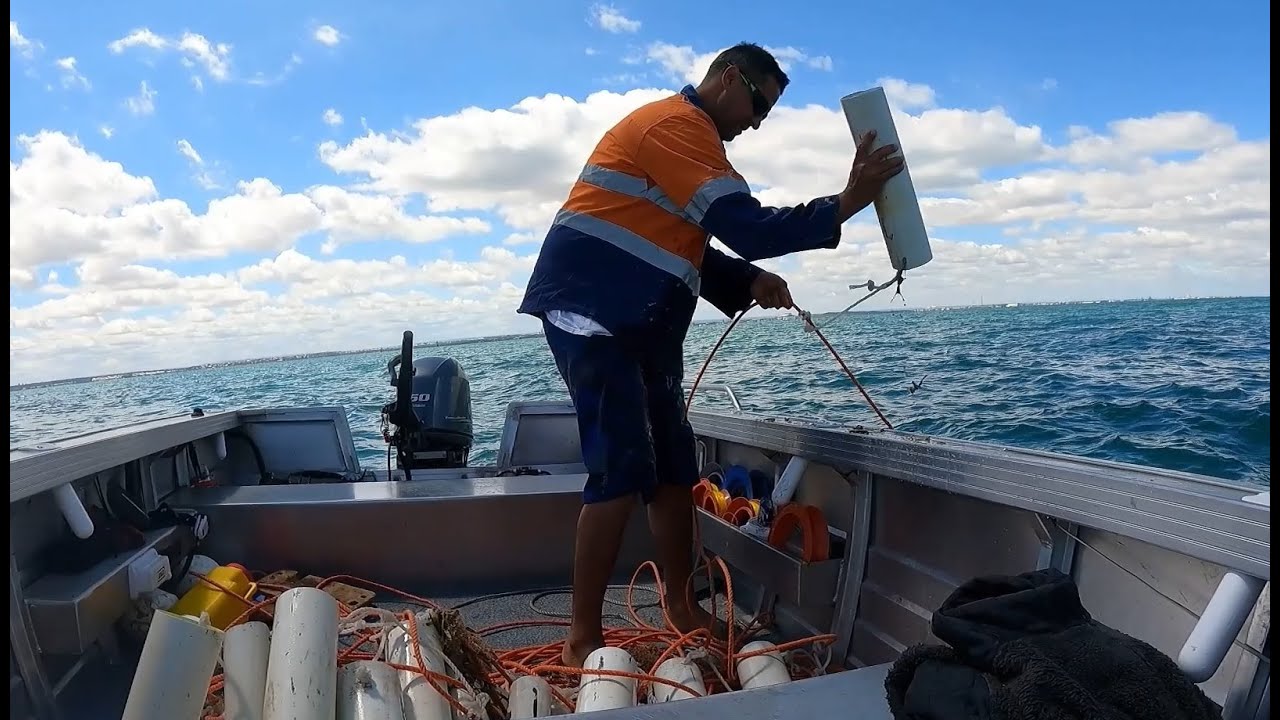 First check and reset of the Occy Pots
