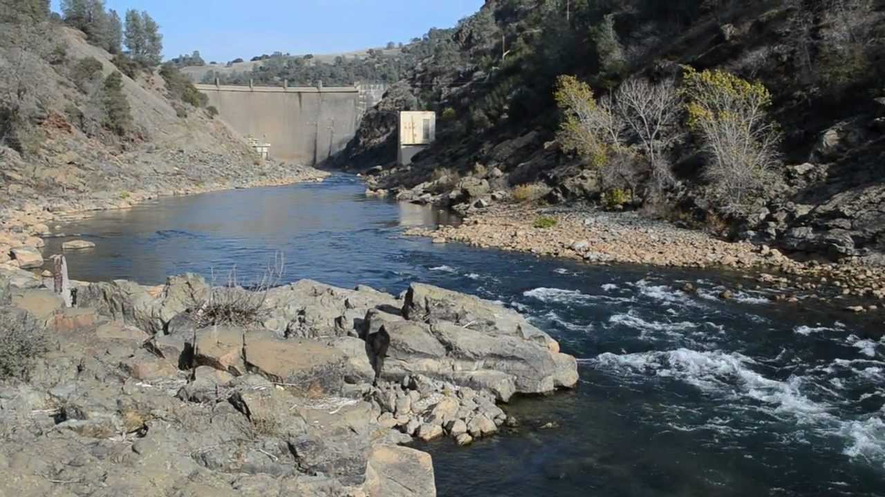 Salmon habitat restoration at Englebright Dam shows encouraging signs