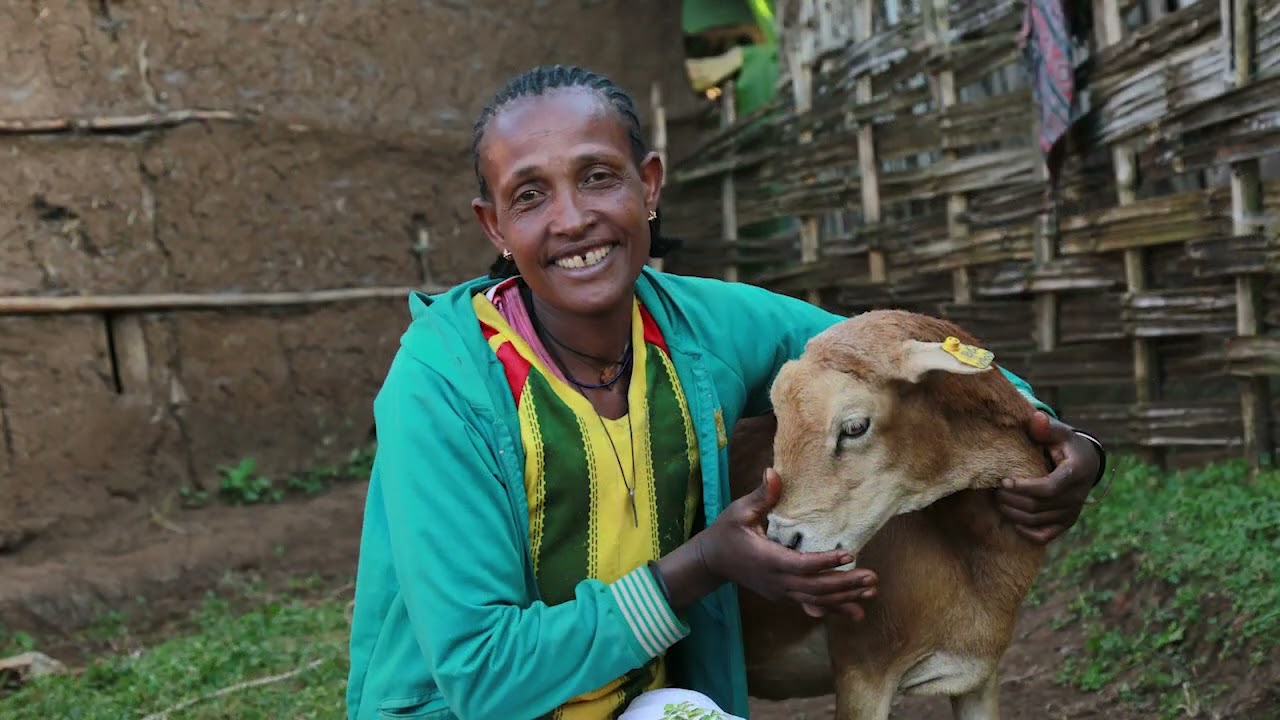 Community-Based Breeding Program: a Sustainable Pro-Poor Food System Transformation