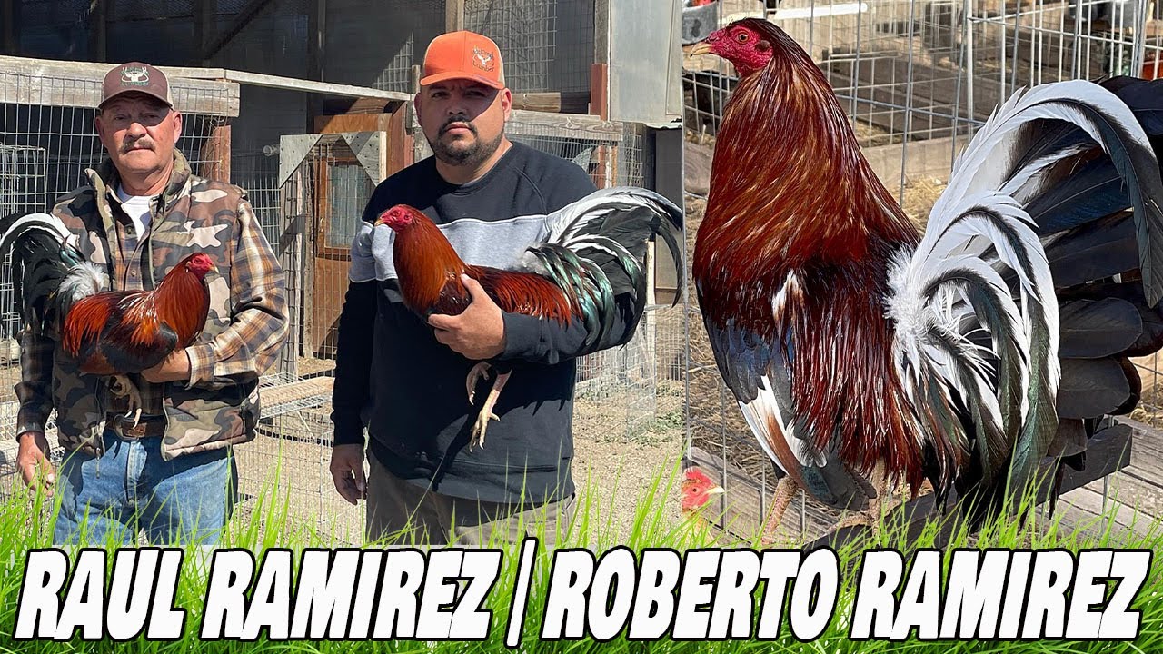 Roberto Ramirez Spring Grove Farm In California USA | Farm Visit