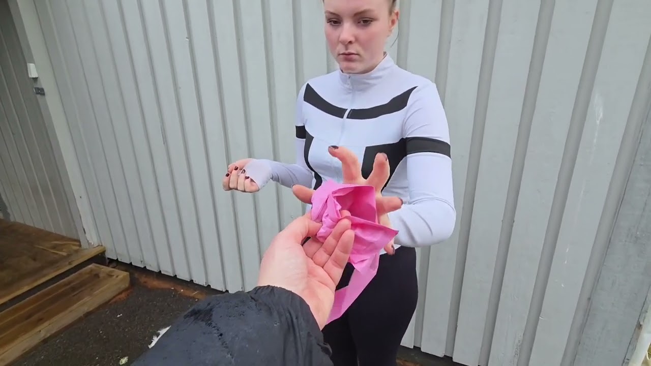 Plockar du upp din hunds bajs?