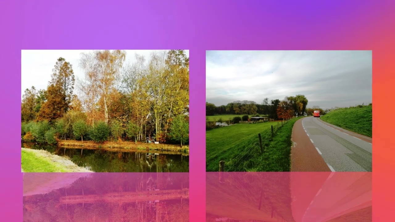 2015 autumn colors