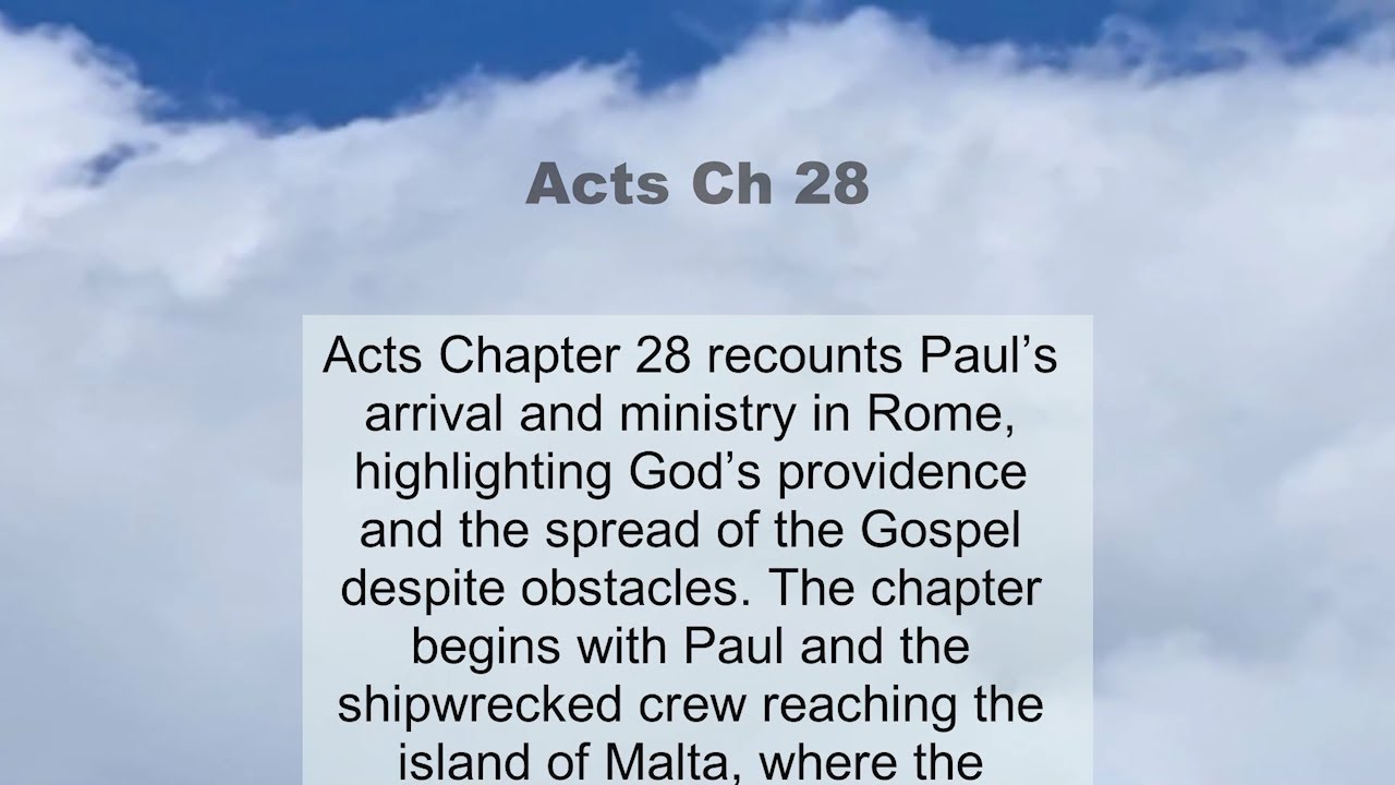 Acts Chapter 28 summary and read together