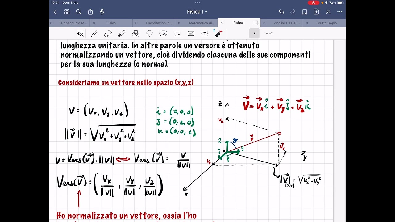 Versori e normalizzazione di un vettore (2). Fisica 1