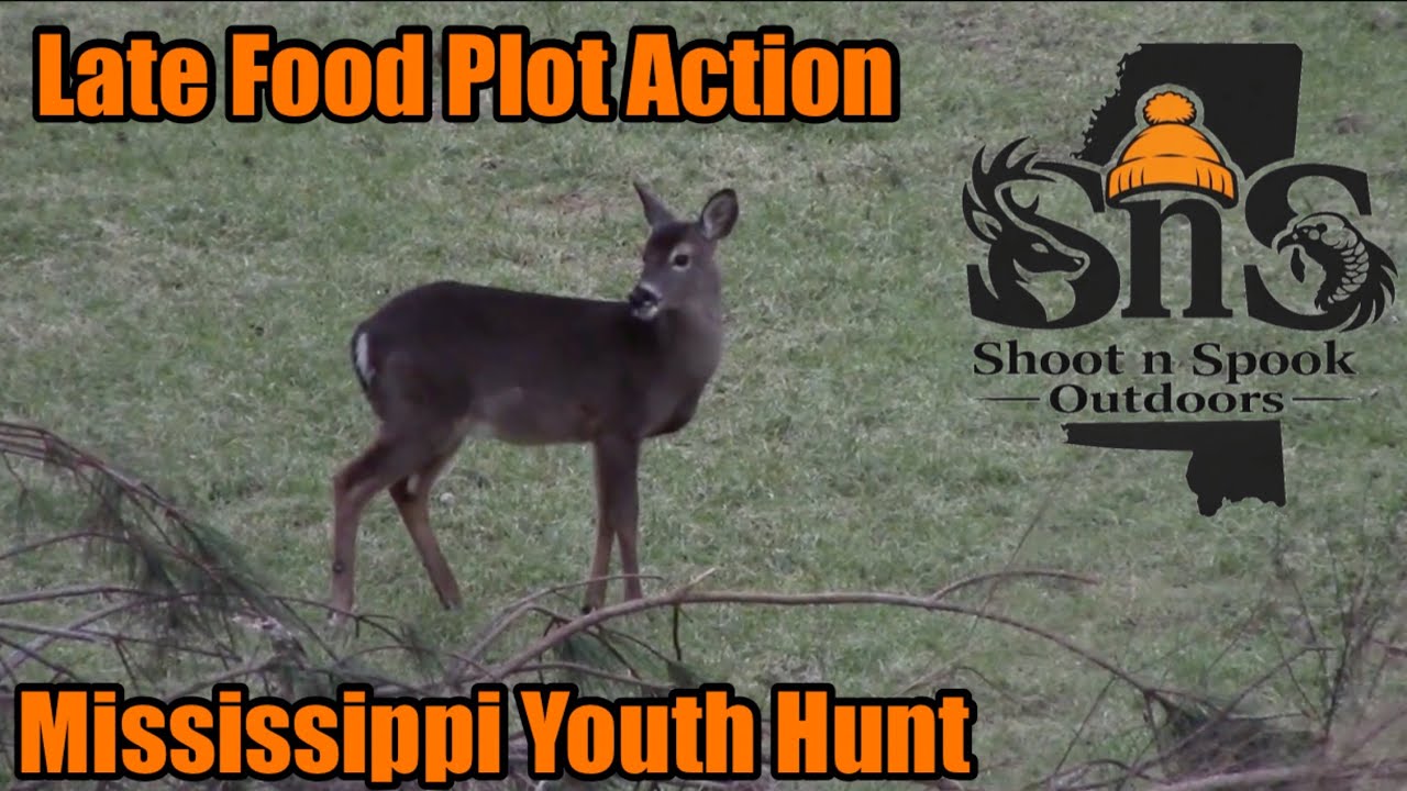 Late Food Plot Action