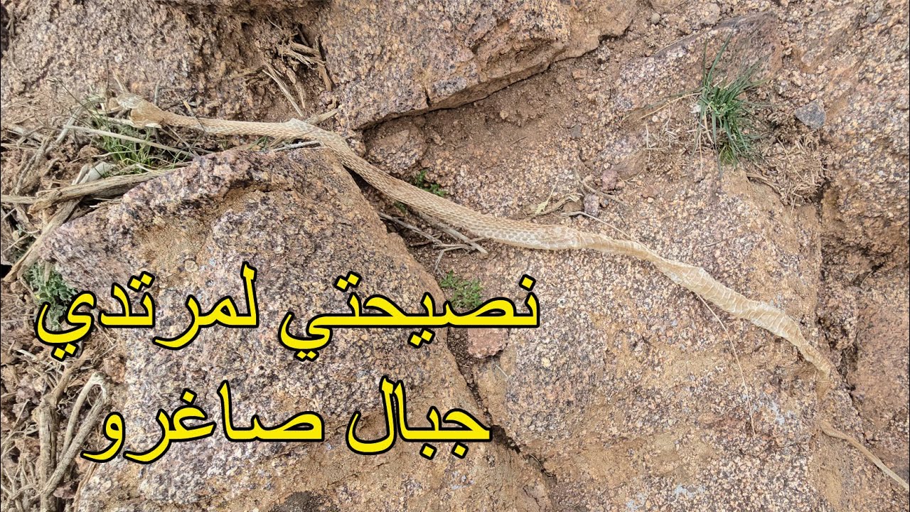 نصيحتي لمرتدي جبال صاغرو اقليم تنغير