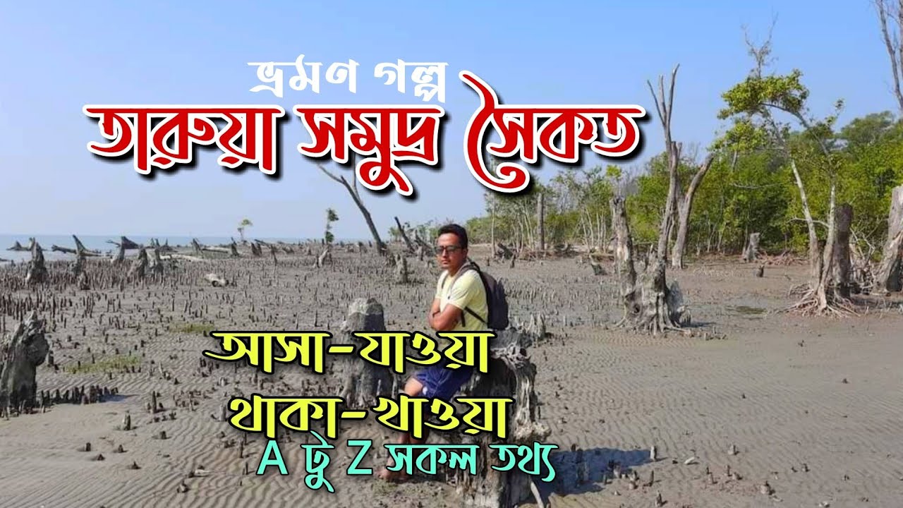ভার্জিন বিচ তারুয়া | Tarua Sea beach,  Dhal Char | তারুয়া সমুদ্র সৈকত ভ্রমণ বিস্তারিত | ঢালচর, ভোলা