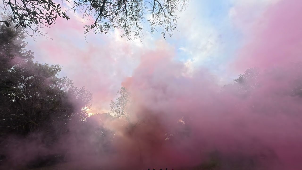 Mariage Laeticia Laurent fusées de couleurs chateau saint hilaire Aix en Provence courroux