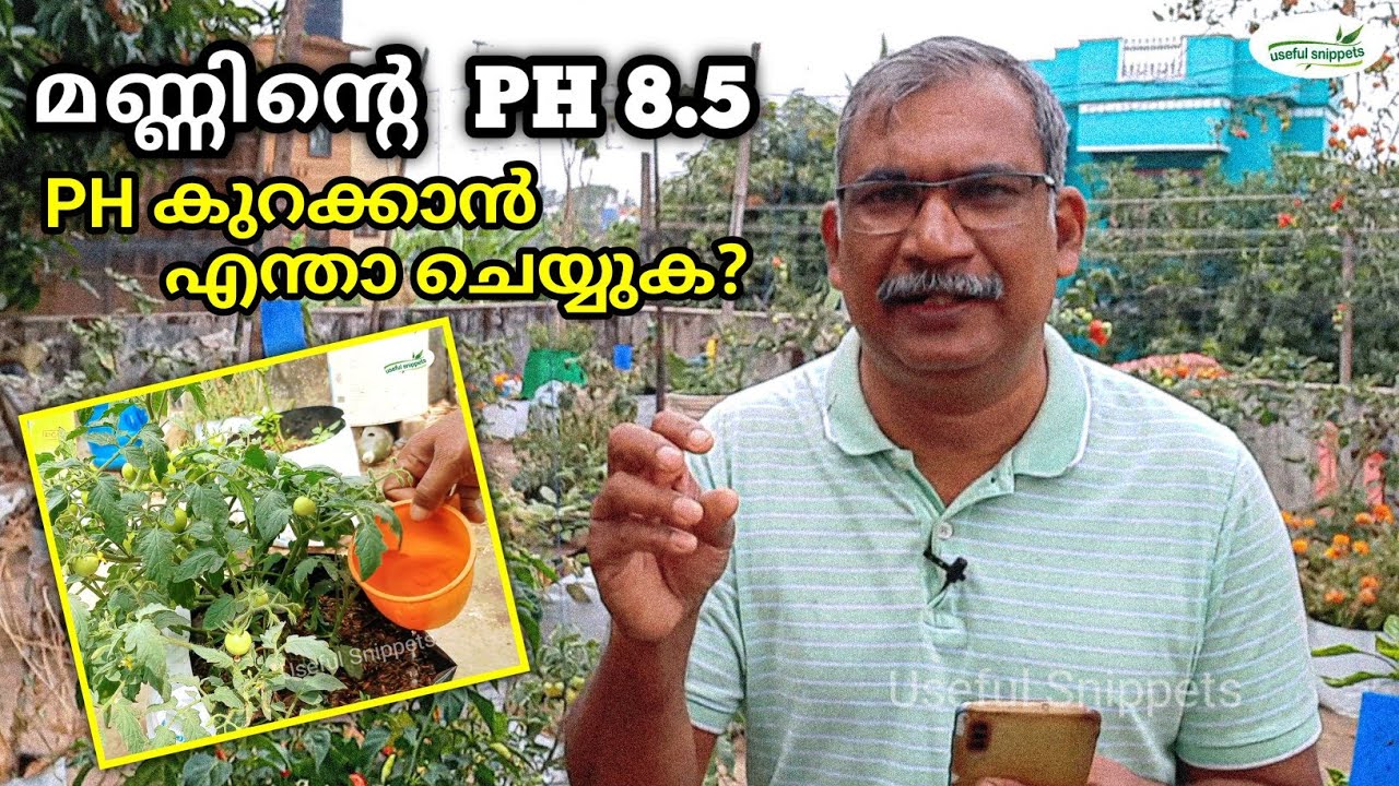 മണ്ണിൽ PH കൂടിയാൽ എങ്ങനെ കുറയ്ക്കാം...! | How to Fix High PH Soil on your Garden| QA 57| Krishitips