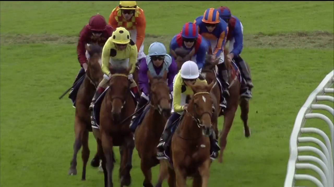 Dubawi's Postponed wins the G1 Coronation Cup Stakes