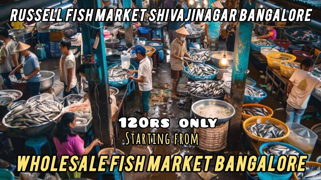 Russell Fish Market Shivaji Nagar Bangalore |Wholesale fish market bangalore full detail video