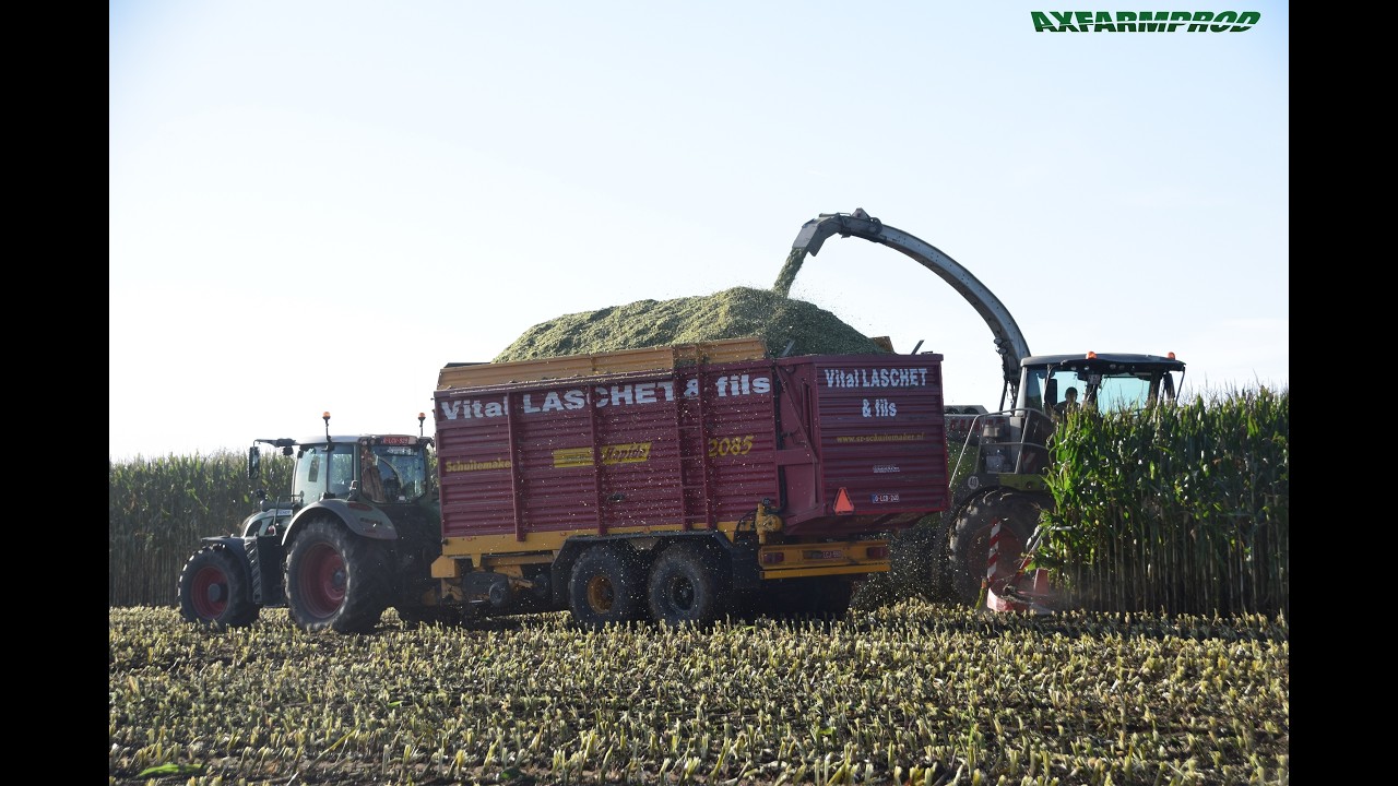 Ensilage de ma&iuml;s - Claas jaguar 960 & 10 tracteurs Fendt - TB Agri