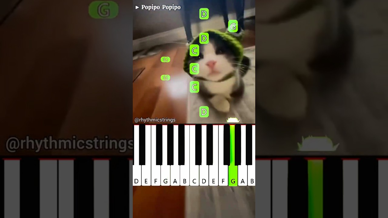 Popipo Popipo | Easy Piano Tutorial | Funny Cat Memes #shorts
