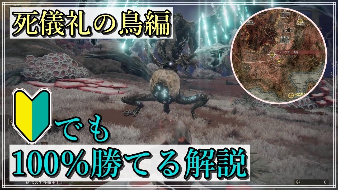 【エルデンリング】その実力は実質ラスボス越えの『死儀礼の鳥』解説【3週目Lv.1縛り】