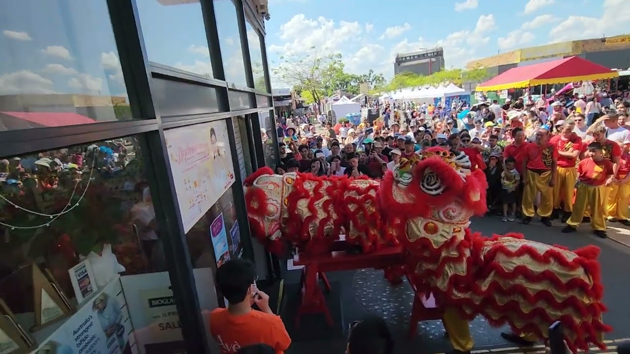 Lion Dance at Springvale Lunar New Year festival 2026 Hội chợ Tết ‎⁨Múa Lân @goplaces1⁩ #goplaces1 