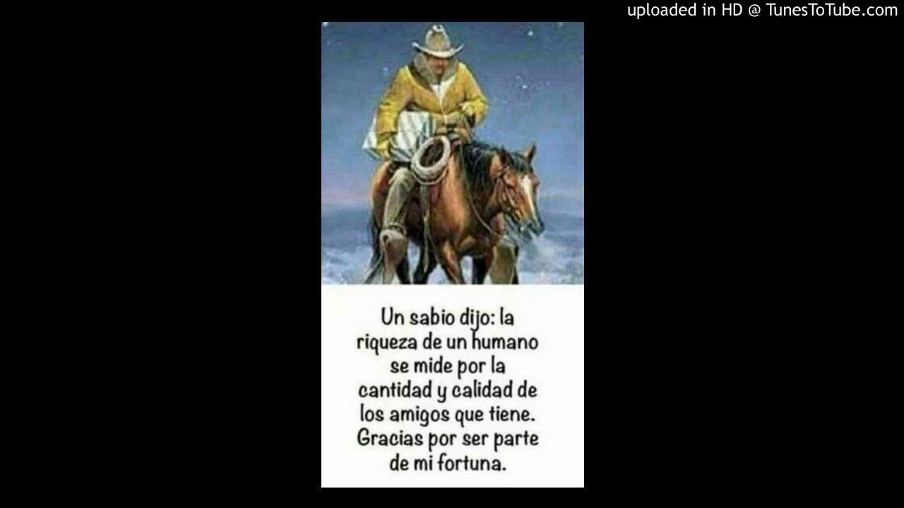DAME GUSTO - LA LEY DEL BRAVO