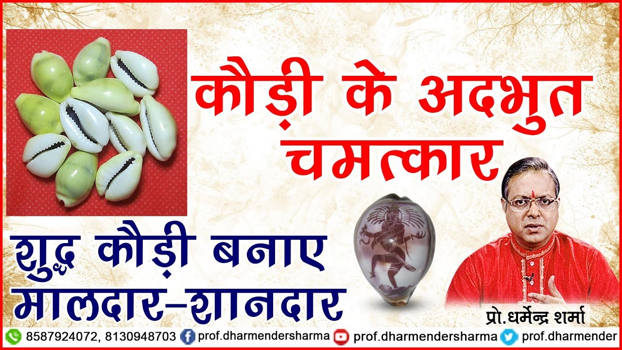 बनायें मालदार-शानदार शुद्ध कौड़ी - प्रो.धर्मेन्द्र शर्मा जी