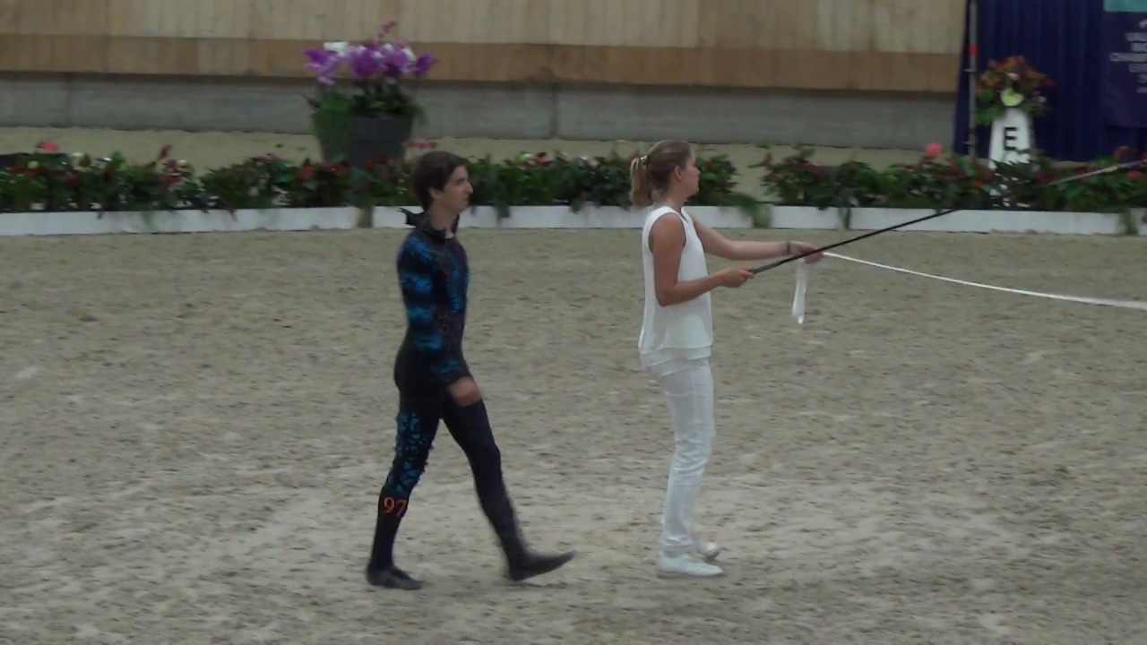 EM Vaulting  - Lukas - Ermelo 2019