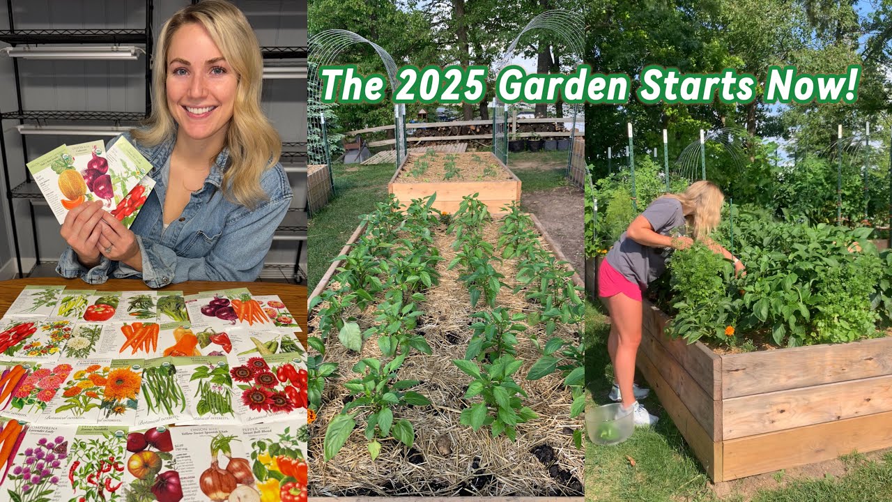 My 2025 Garden Plan - What I&rsquo;m Growing & How to Get Started as a Beginner Gardener