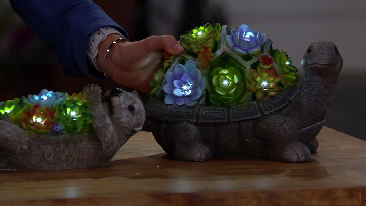 Plow & Hearth Solar Resin Lit Succulent Animal Statuary on QVC