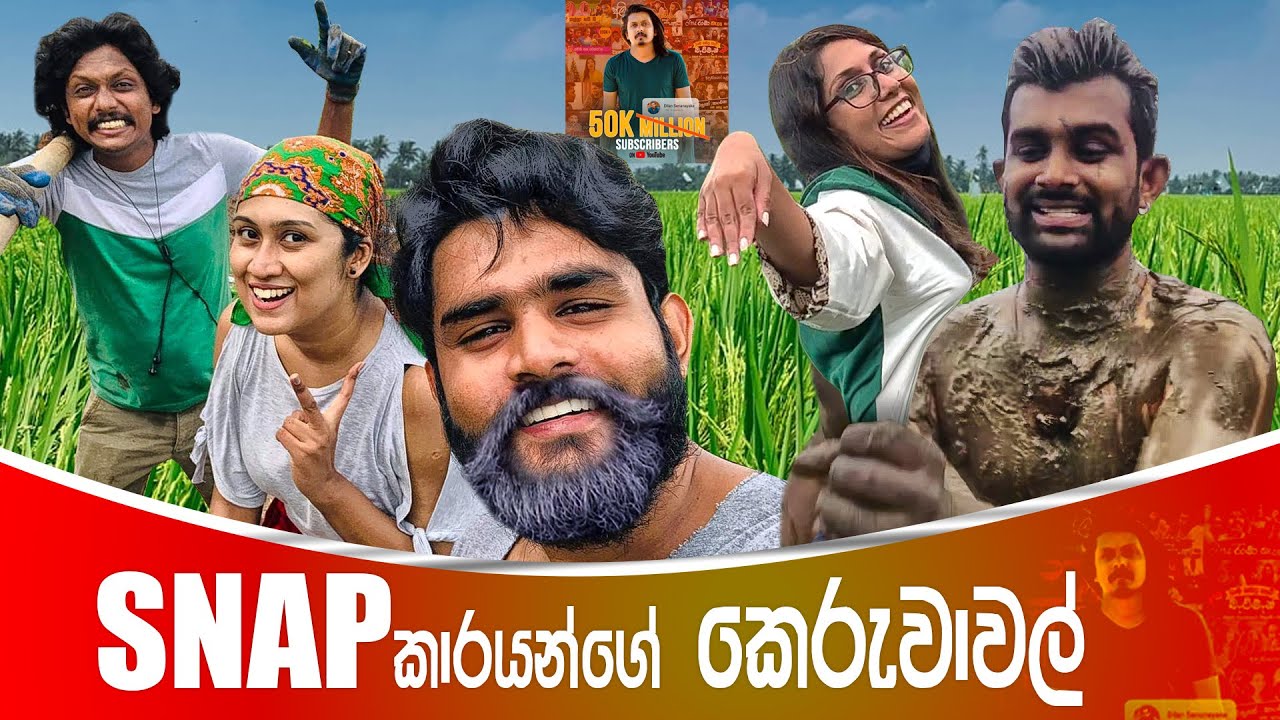 හැතිකරේ කුඹුරේ බැස්ස හැටි |Yash Weerasinghe|Lasanduni Jayawardhana|