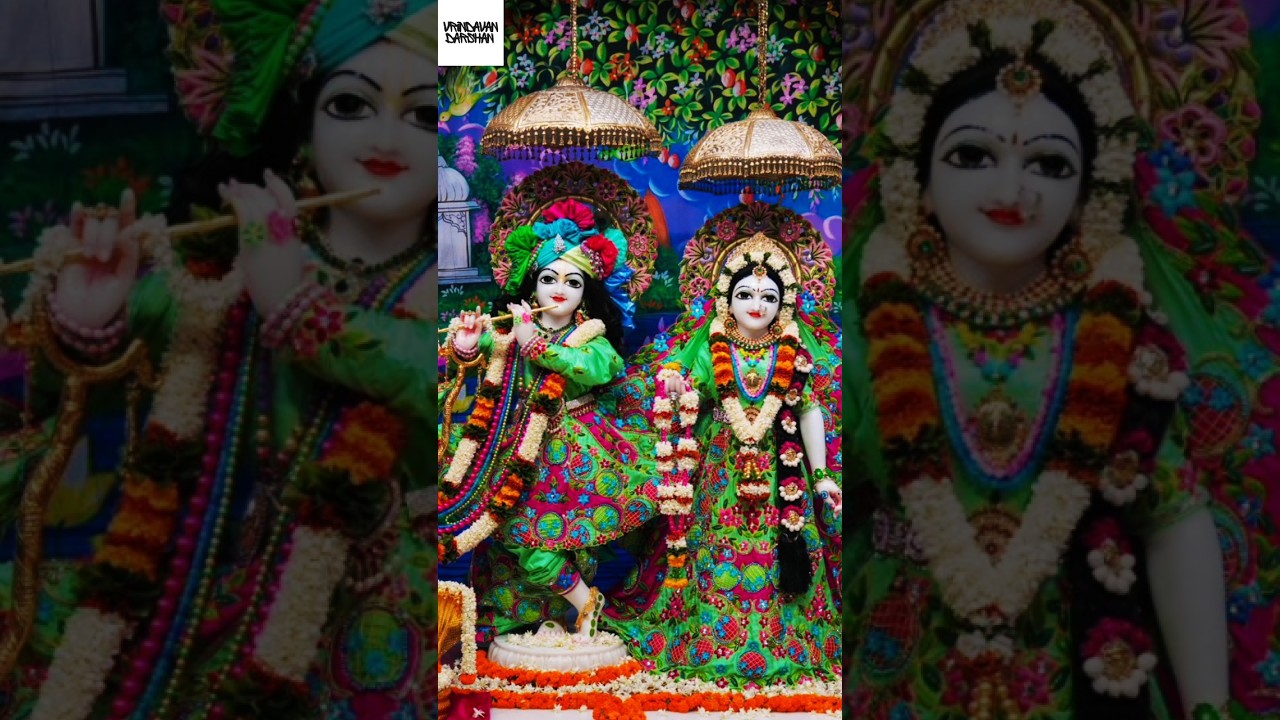 Sringar Aarti Darshan 06/06/2024 #vrindavan #vrindavandham #vrindavandarshan #shorts