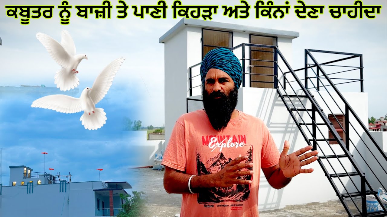 ਕਬੂਤਰ ਨੂੰ ਬਾਜ਼ੀ ਤੇ ਪਾਣੀ ਕਿਹੜਾ ਅਤੇ ਕਿੰਨਾਂ ਦੇਣਾ ਚਾਹੀਦਾ