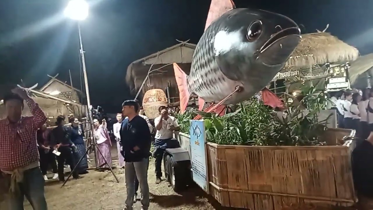 ใหญ่สุดๆอลังการมากๆๆหุ่นปลายักษ์🐠🐠🐠🐠🐠ในงานมหกรรมเทศกาลปลาลุ่มน้ำสงคราม/ประจำปี 2568