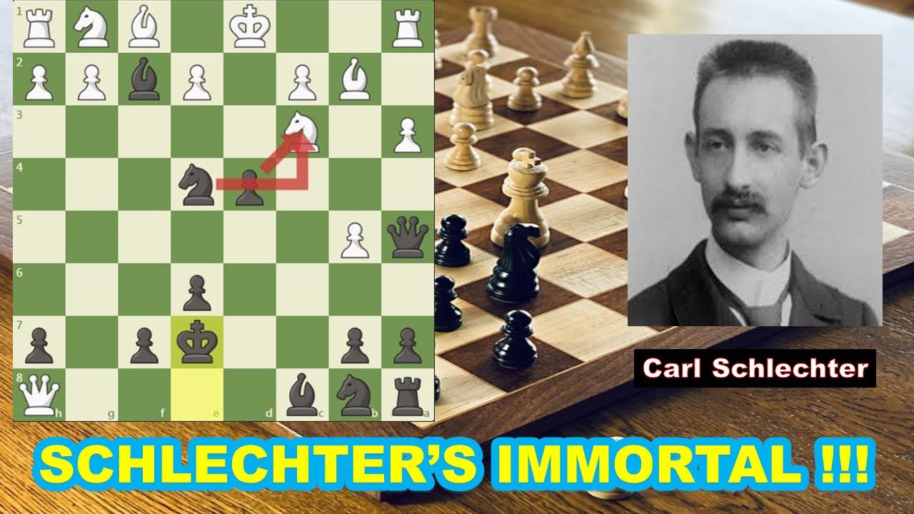 Schlechters Immortal | best chess game