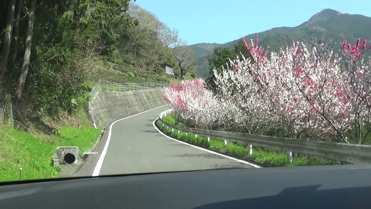 花の里公園へ（高知県仁淀川町寺村）
