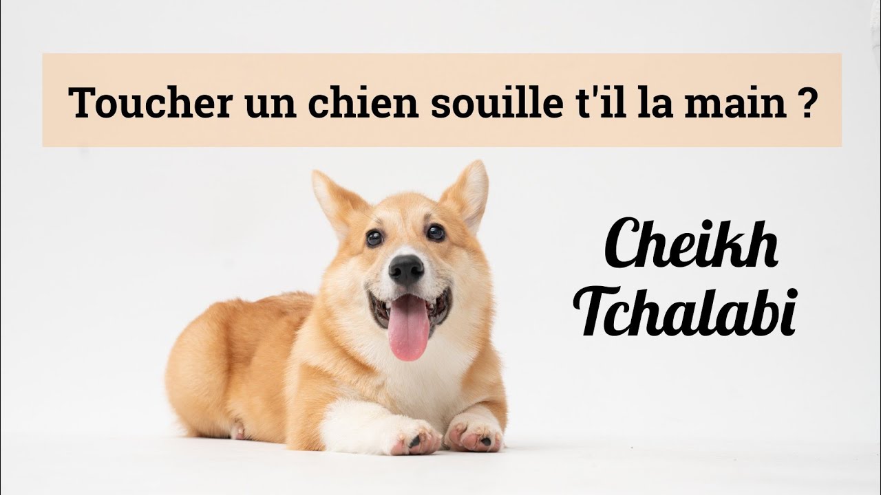Dans quel cas peut-on avoir un chien ? Toucher un chien souille t'il la main ? - Cheikh Tchalabi